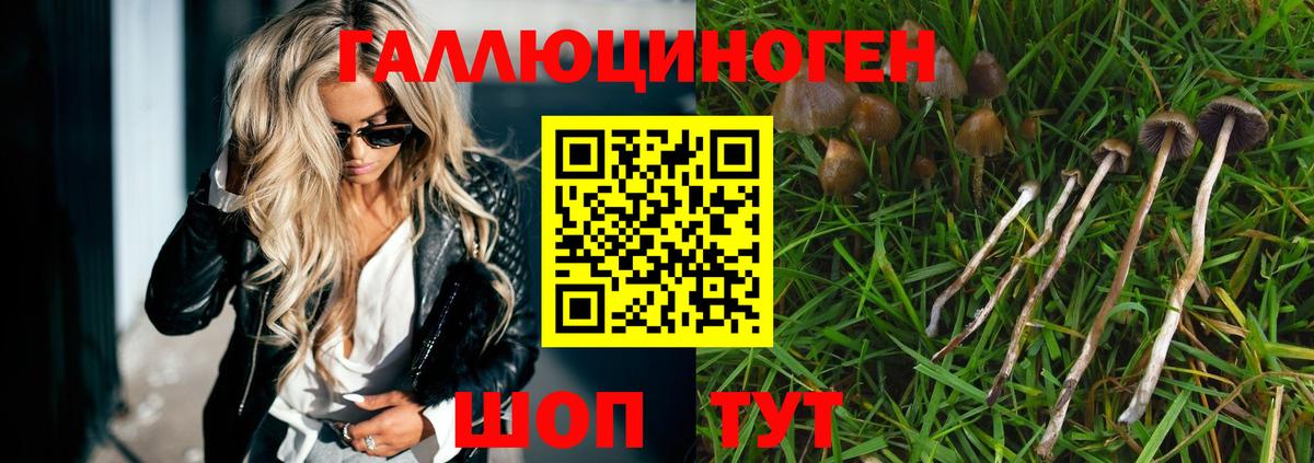 Псилоцибиновые грибы мухоморы Киселёвск
