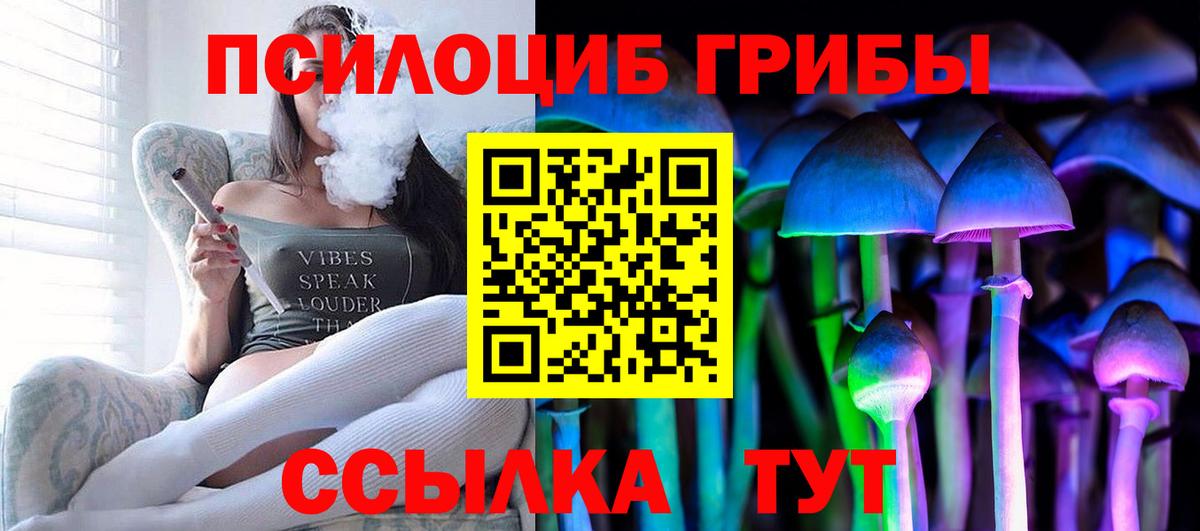 Галлюциногенные грибы Cubensis  Вход с VPN  Киселёвск 
